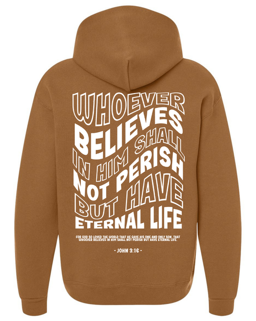 Bible Verse Hoodie Christian Hoodie Faith Hoodie Church Wear Bible Study Outfit Christian Sweatshirt Religious Gift Inspirational Hoodie Jesus Hoodie John 3:16 Apparel