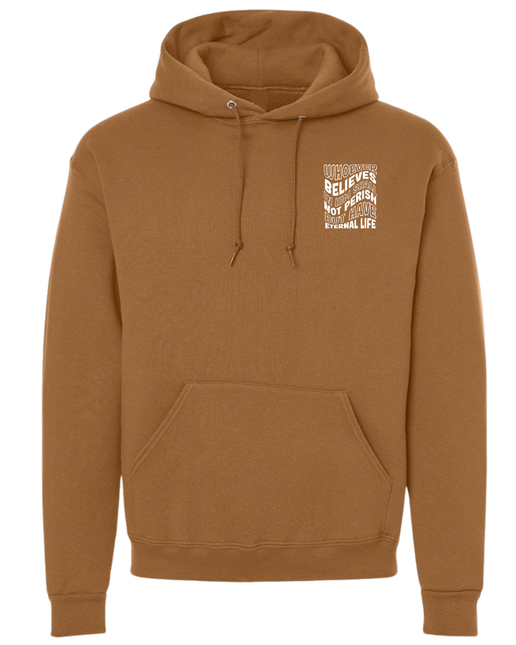 Christian Teen Gift Youth Group Gift Christian Winter Wear Christian Hoodie Bible Verse Hoodie Church Wear Faith Clothing Worship Sweatshirt John 3:16 Hoodie Religious Gift